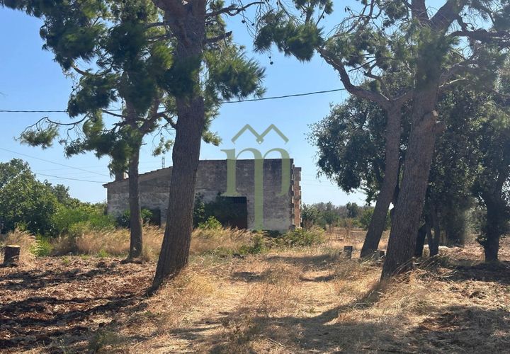 Ruinere i Carovigno, Brindisi, Carovigno - € 385.000 | Ref: Proprietà Pinea - foto 1